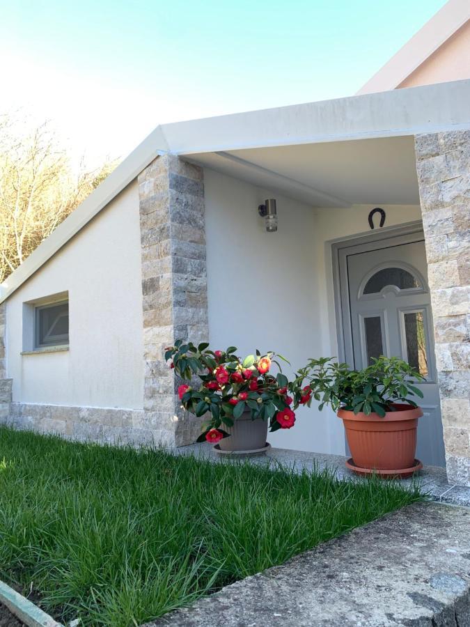 Markovic Village Apartments Ulcinj Bagian luar foto